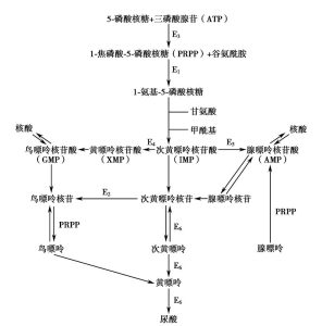 现代自学关于对痛风的研究-岐黄有方