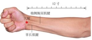 大陵穴-岐黄有方