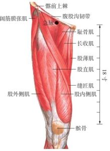 急脉穴-岐黄有方